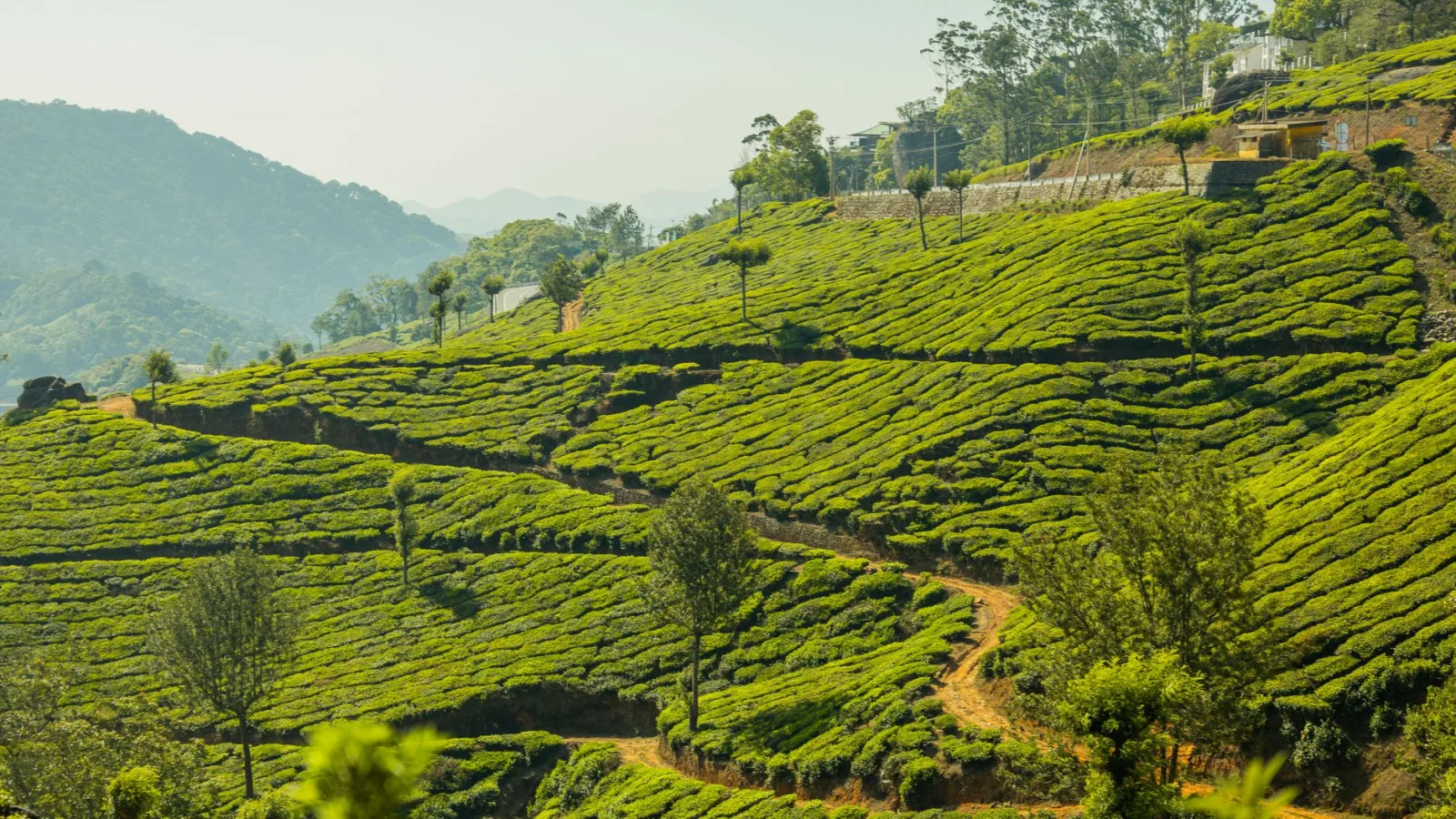 Top 5 Family-Friendly Hill Stations in India