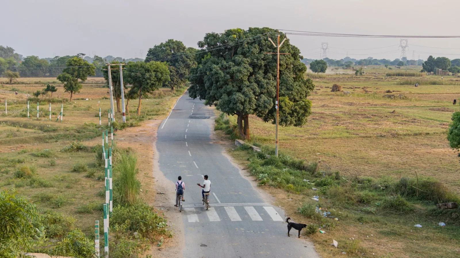 Cycling Through the Countryside: Top Routes in India