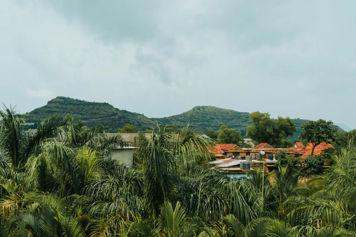 Ahmedabad Gujarat Nature Landscape
