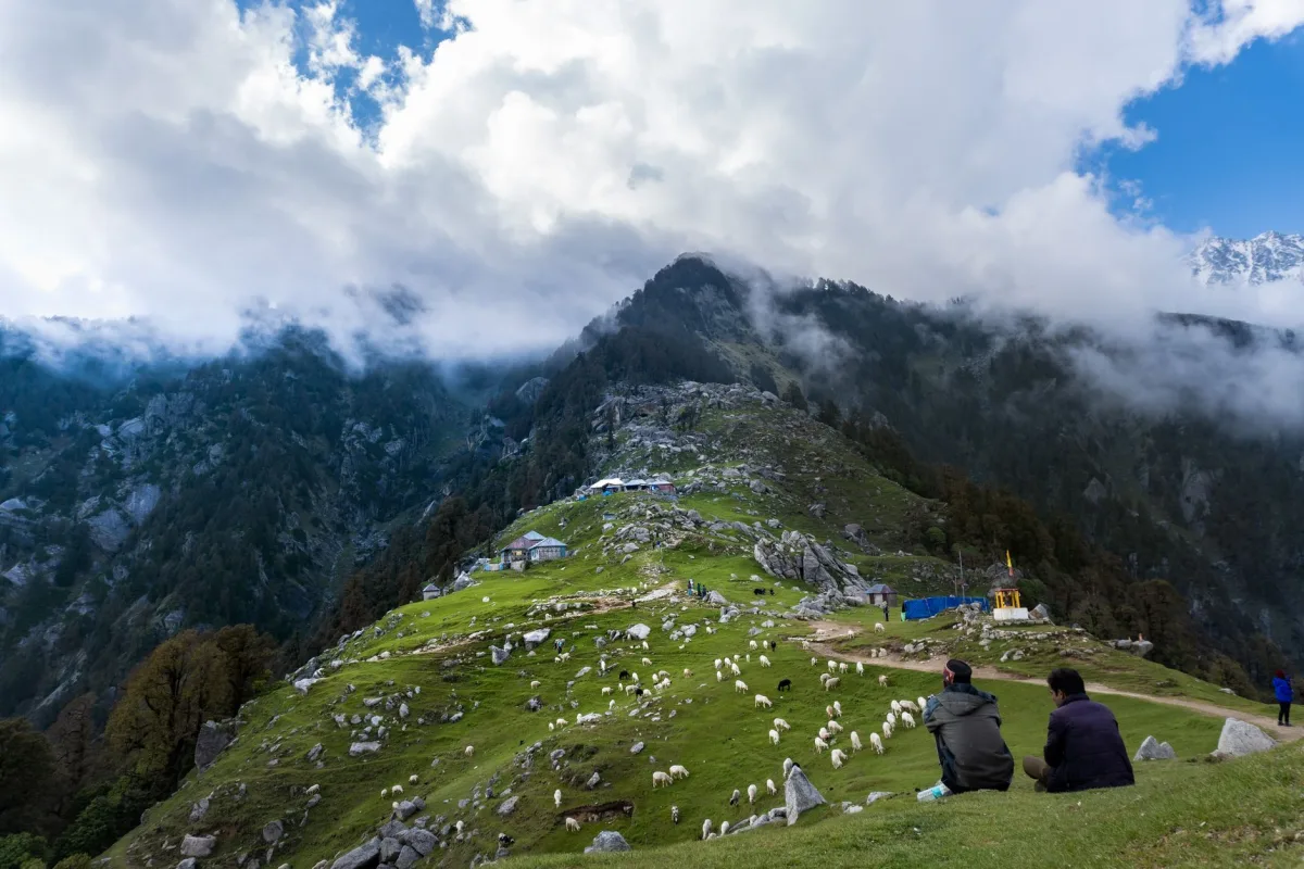Dharamshala Himachal Pradesh Nature Landscape