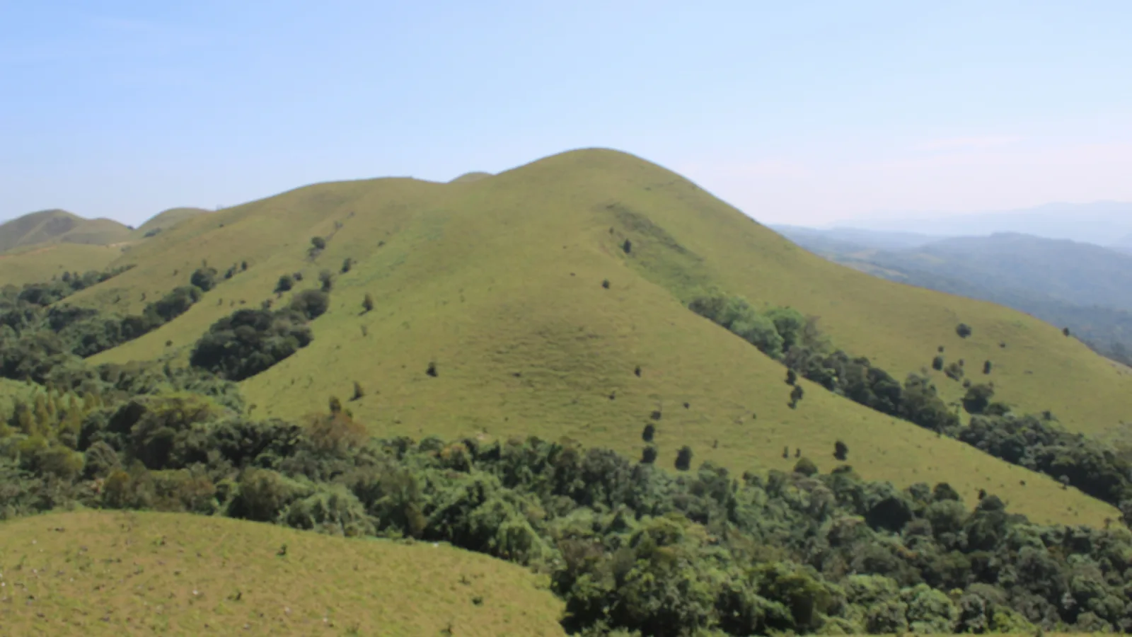 Coorg