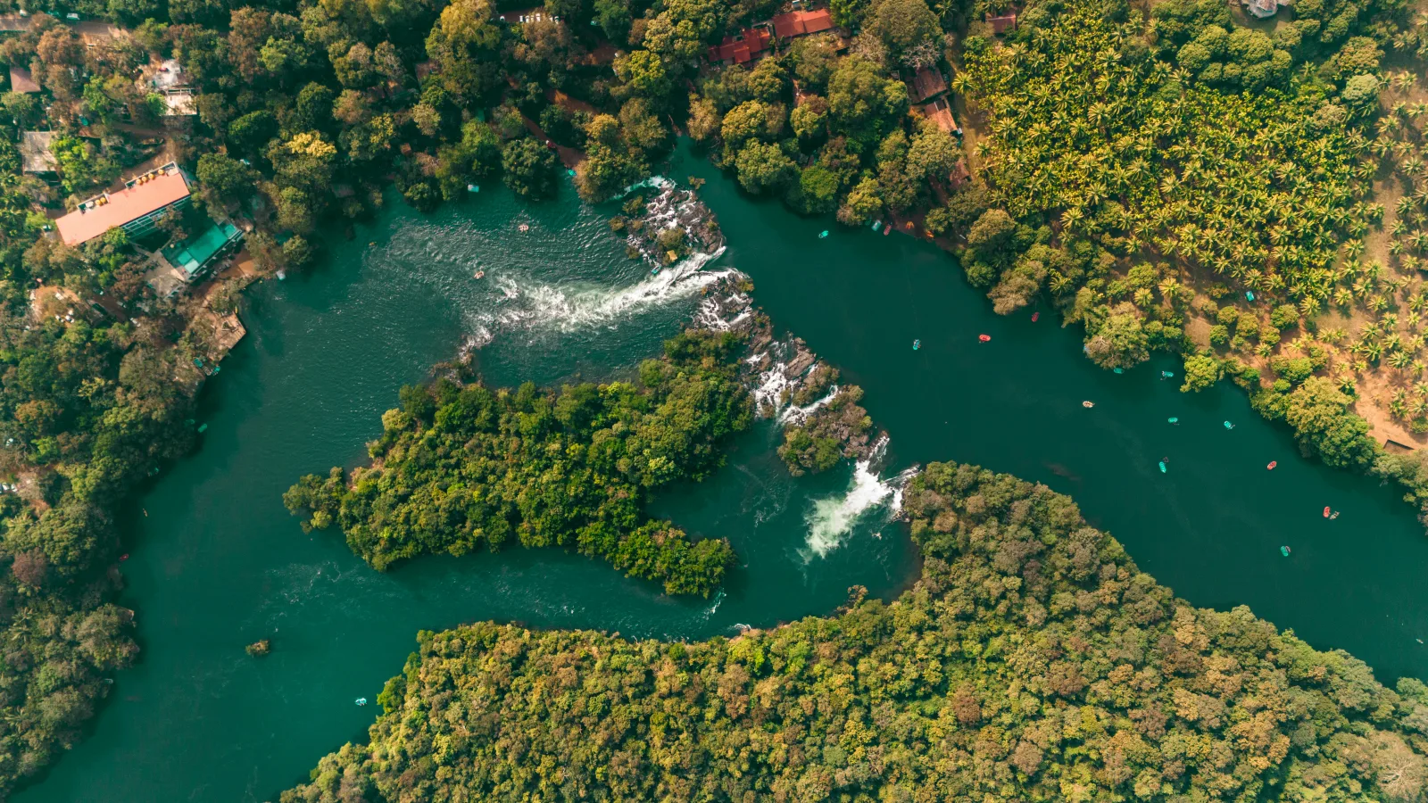 Dandeli