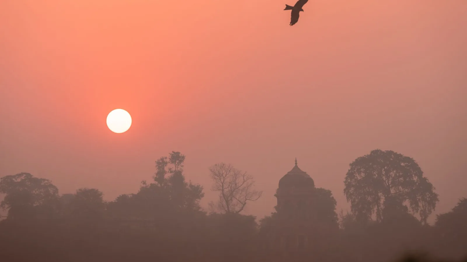 Ayodhya