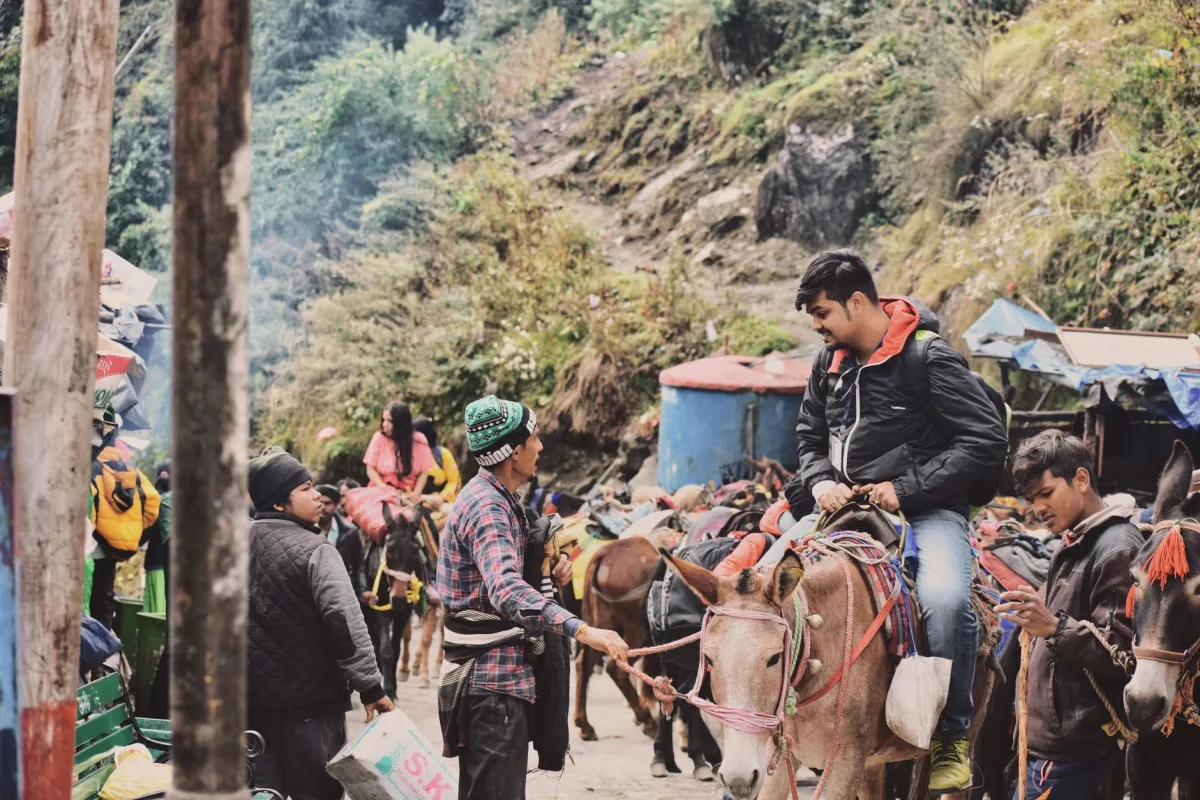 Auli Uttarakhand Local Food Cuisine